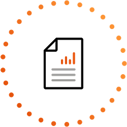 custom reporting software
