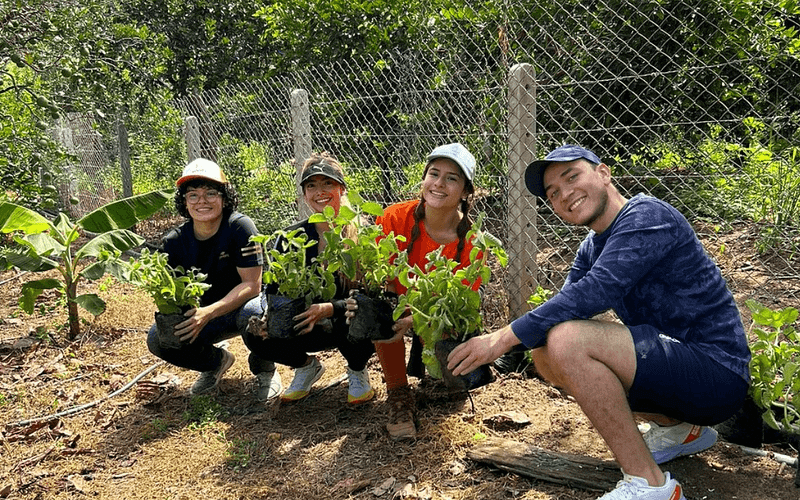 The Solvo Social purpose-driven programs help motivate their talent and build stronger team bonds.