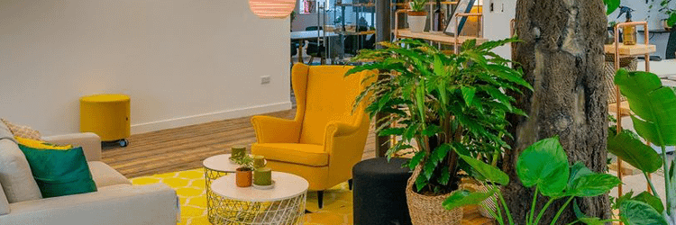 Buffalo 7 office design