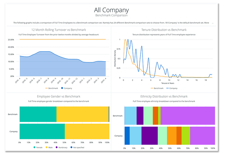 Namely's Company Insights Dashboard