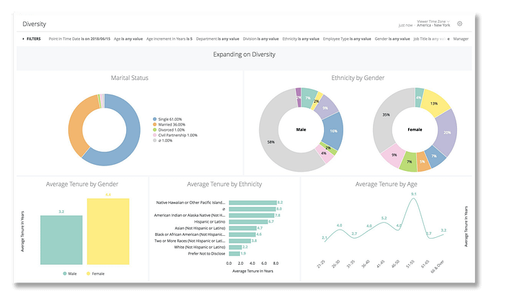 Namely Diversity Dashboard