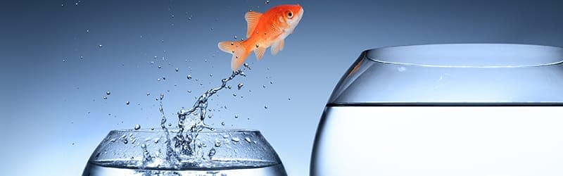 HR-Service Provider Software