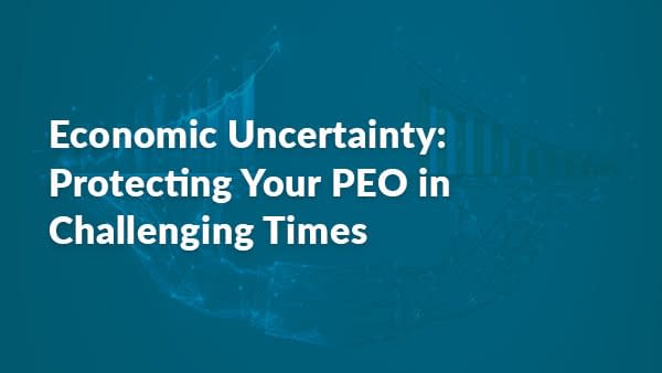 Economic Uncertainty E-book