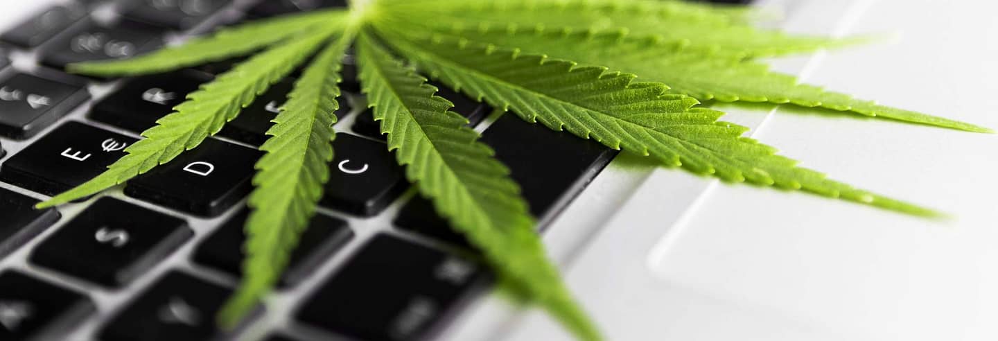 www.tdslaw.com-medical-marijuana-use-in-the-workplace-marijuana-keyboard