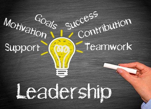 Infographic of the various components of good leadership or management.