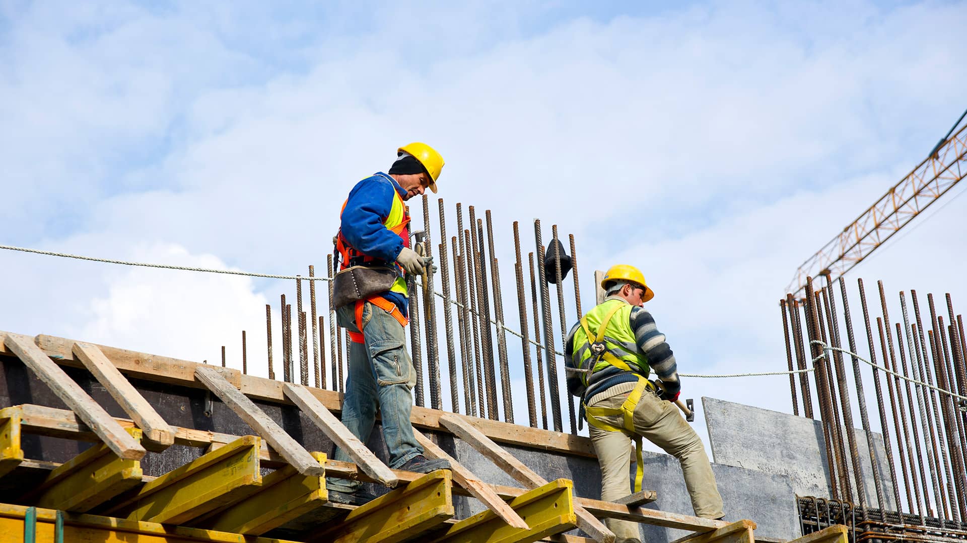Choosing the right insurance for your business will depend on the type of industry, the nature of the work, and the number of employees you have.